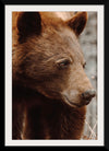 “Bear Profile I”, Nathan Larson