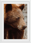 “Bear Profile I”, Nathan Larson