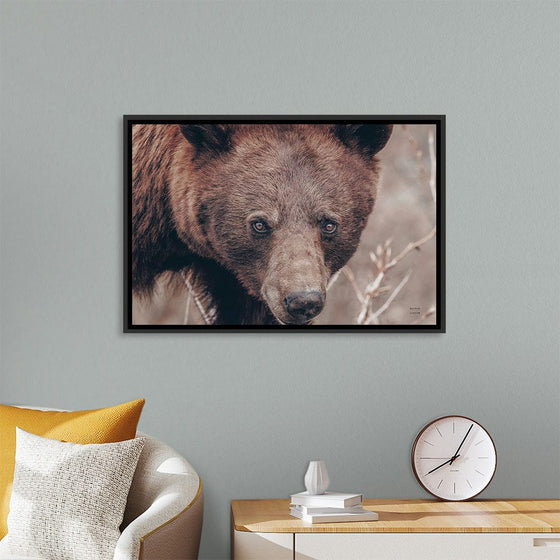 “Bear Portrait“, Nathan Larson