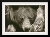 “Bear Portrait Sepia“, Nathan Larson