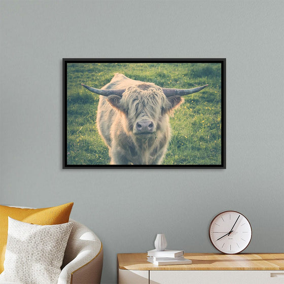 “Highland Cow Staring Contest Color“, Nathan Larson