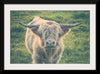 “Highland Cow Staring Contest Color“, Nathan Larson