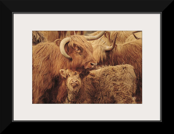 “Highland Cow Under Cover Sepia“, Nathan Larson