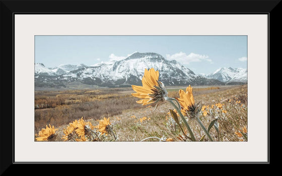 “Mountain Blooms“, Nathan Larson