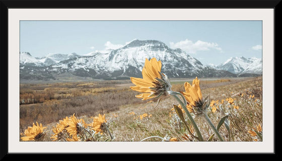 “Mountain Blooms“, Nathan Larson