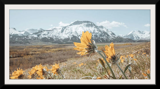 “Mountain Blooms“, Nathan Larson