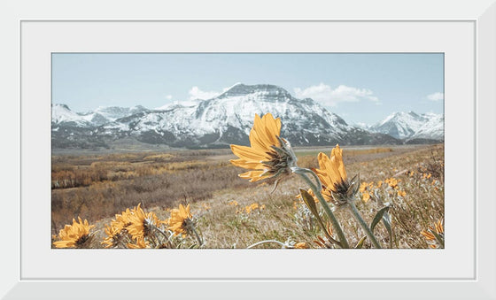 “Mountain Blooms“, Nathan Larson