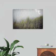  Northern Forests by Nathan Larson is a serene and evocative landscape that captures the raw beauty of a misty, northern woodland. The soft, diffused light filtering through the trees creates a sense of mystery and tranquility, while the delicate shades of green and gray evoke the cool, damp air of the forest floor. This piece is a perfect addition to any home or office looking to bring a touch of nature indoors.