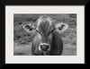 “Dairy Barn BW“, Nathan Larson