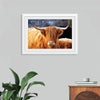 “Highland Cow Sunshine“, Nathan Larson