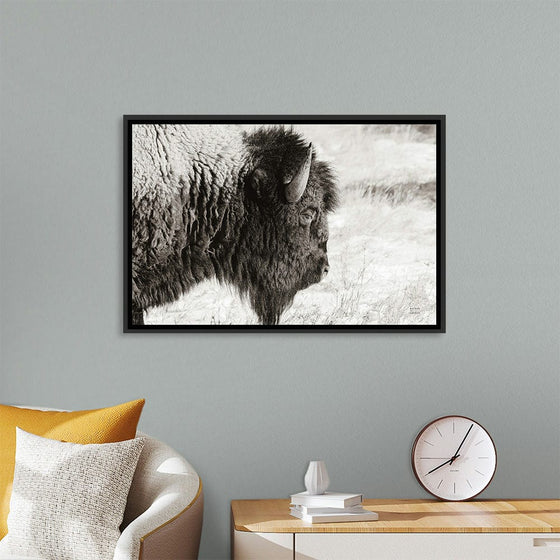 “Bison Profile BW“, Nathan Larson