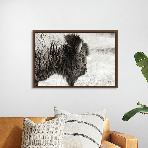 “Bison Profile BW“, Nathan Larson