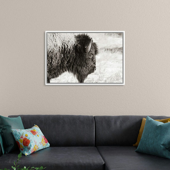 “Bison Profile BW“, Nathan Larson