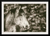 “Snowy Range Sepia“, Nathan Larson