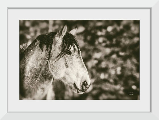 “Snowy Range Sepia“, Nathan Larson