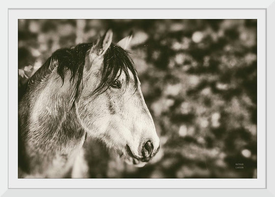 “Snowy Range Sepia“, Nathan Larson