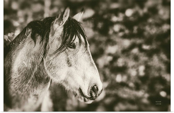 “Snowy Range Sepia“, Nathan Larson