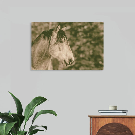 Enhance your living space with the classic allure of “Snowy Range Antique” by Nathan Larson. This exquisite print showcases a serene winter landscape, where majestic horses roam freely against a backdrop of snow-covered mountains. The antique finish adds a touch of nostalgia, making it a timeless piece that complements both modern and traditional decor. Printed on premium canvas with archival-quality inks, this artwork ensures long-lasting beauty and durability.