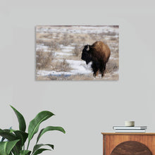  Behold the majestic power of nature in Nathan Larson's "Lookout." This captivating print captures the essence of a solitary bison, standing tall against a vast, snow-dusted landscape. With its piercing gaze and rugged demeanor, the bison exudes a sense of ancient wisdom and resilience. Larson's masterful use of light and shadow adds depth and drama to the scene, inviting viewers to contemplate the beauty and untamed spirit of the American wilderness.