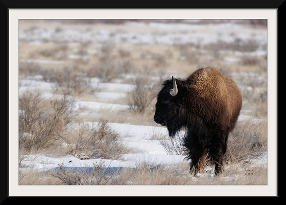 “Lookout“, Nathan Larson