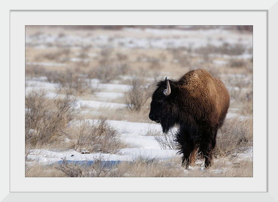 “Lookout“, Nathan Larson