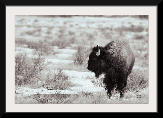 “Lookout BW“, Nathan Larson