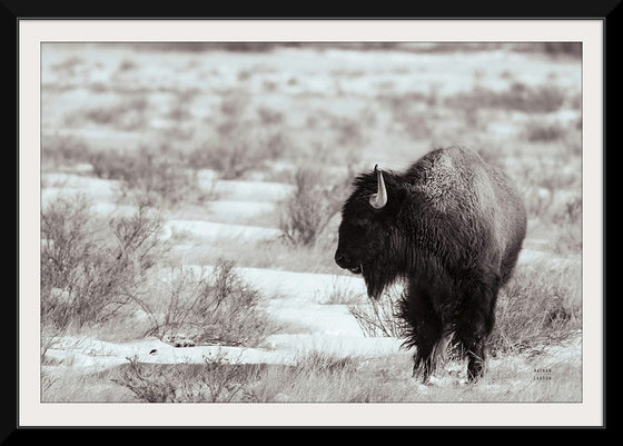 “Lookout BW“, Nathan Larson