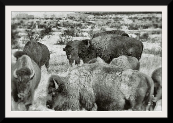 “Open Range I“, Nathan Larson