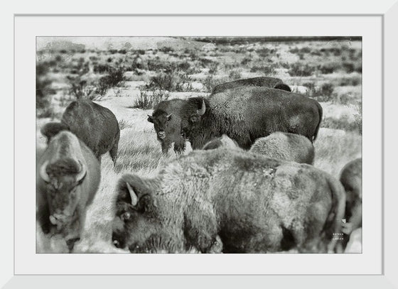 “Open Range I“, Nathan Larson