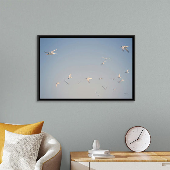 “Georgia Seagulls I“, Nathan Larson