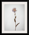 “Dried Floral Still Life II”, Nathan Larson