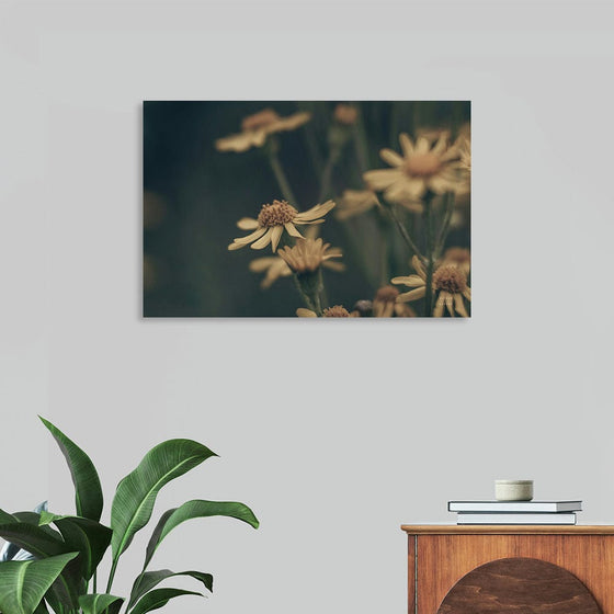 “Wild Blooms I” by Nathan Larson: Immerse yourself in the serene beauty of this exquisite print. The delicate dance of wildflowers swaying gently in the breeze is captured with masterful precision. Each petal comes alive, bathed in soft light and shadow. The muted color palette—earthy yellows and browns—invites you to pause and appreciate nature’s simple elegance.