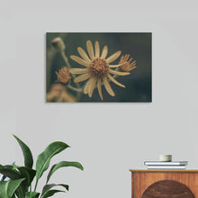  “Wild Blooms II” by Nathan Larson: Immerse yourself in the serene beauty of this exquisite print. The delicate elegance of a blooming flower is captured with masterful precision. One flower stands fully bloomed, its slender, pale yellow petals reaching out gracefully, while another partially opens, revealing its intricate center. 