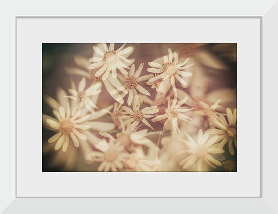 “Wild Blooms III“, Nathan Larson