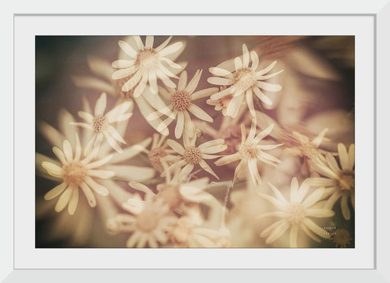 “Wild Blooms III“, Nathan Larson