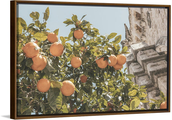 “Spanish Islands Oranges“, Nathan Larson