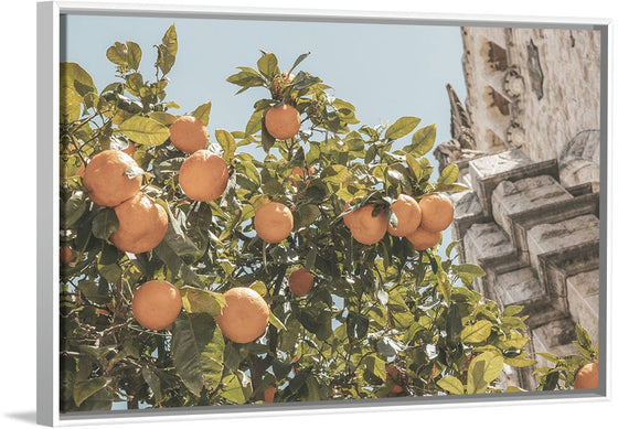 “Spanish Islands Oranges“, Nathan Larson