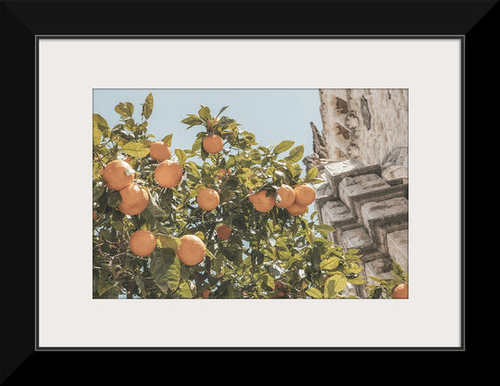 “Spanish Islands Oranges“, Nathan Larson