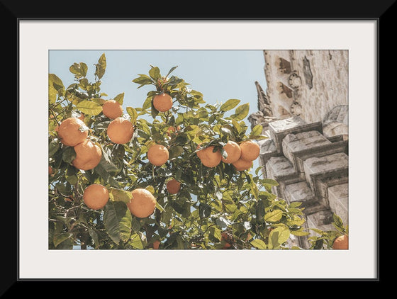 “Spanish Islands Oranges“, Nathan Larson