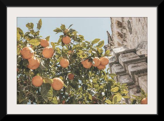 “Spanish Islands Oranges“, Nathan Larson