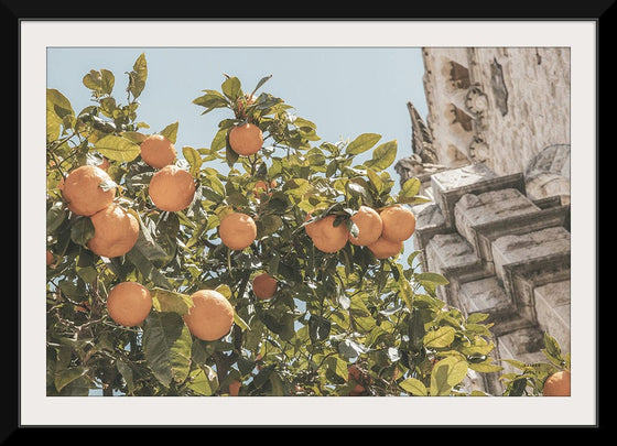 “Spanish Islands Oranges“, Nathan Larson