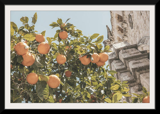 “Spanish Islands Oranges“, Nathan Larson