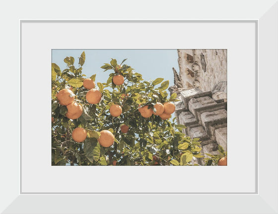 “Spanish Islands Oranges“, Nathan Larson