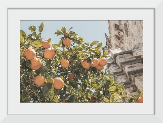 “Spanish Islands Oranges“, Nathan Larson