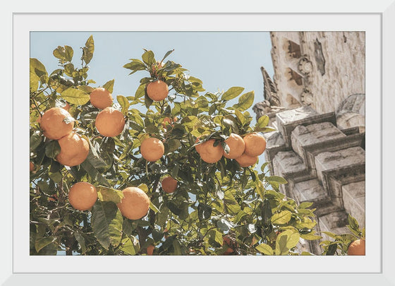 “Spanish Islands Oranges“, Nathan Larson