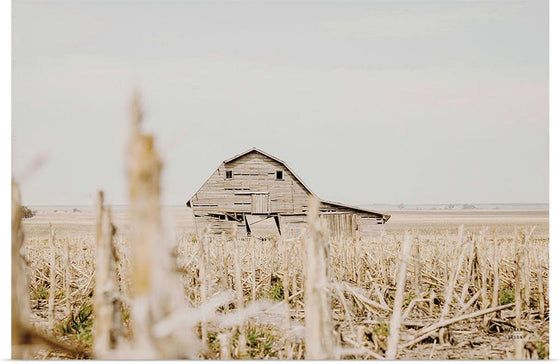 “Leaning Barn Field I“, Nathan Larson