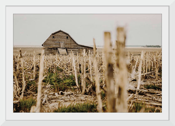 “Leaning Barn Field II“, Nathan Larson