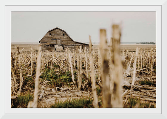 “Leaning Barn Field II“, Nathan Larson