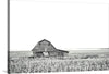 “Leaning Barn BW“, Nathan Larson