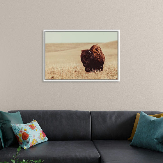 “Tall Grass Bison I“, Nathan Larson